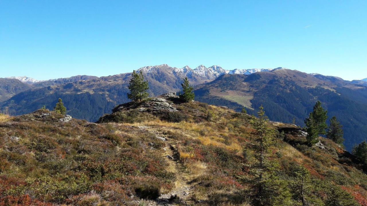 Fewo "Unterm Wald" 斯达姆 外观 照片